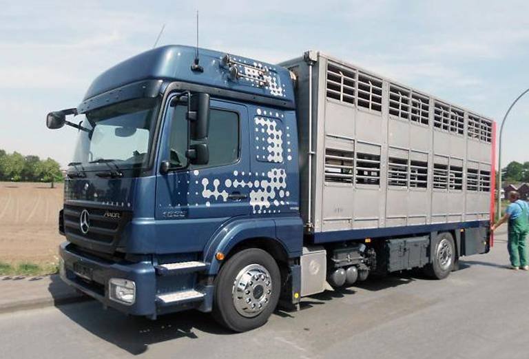 Транспортировать мелкий рогатый скота, другие животных автотранспортом из Тарусы в Красное Село